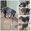 ❗ Opa Jack...NOTFALL - wird gesponsert !