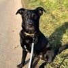 FIETE sucht ein neues Zuhause