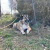 Rey - Königin sucht Hofstaat