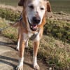 Opi Otto sucht seine Menschen
