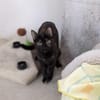 JESSY - kleine Seele die still leidet!