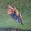 Kleine Hunde suchen ein Zuhause