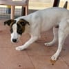 RUFUS (Maria)