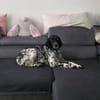 Brina sucht liebe Menschen