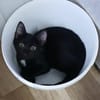 Kleine Mio sucht ihr Glück!