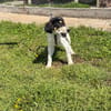 ❤Emely - AB 24.05.2026 BEI UNS!!!