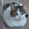 Gemütliche Frida sucht ihr Traumzuhause