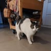 Gemütliche Frida sucht ihr Traumzuhause