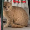 Salome und Röschen