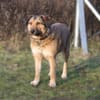 Anabelle - Altersruhesitz gesucht