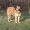 Anabelle - Altersruhesitz gesucht