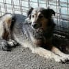 Liebe mal Zwei: Aponi & Chanel warten...