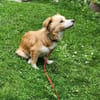 Sonnenschein sucht Familie