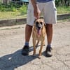 🆘RUBY in 91616 Neusitz ‼🆘‼
