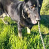 Freddy braucht euch dringend