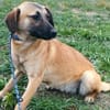 Heidi sucht ein Plätzchen