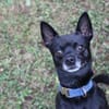 Knirps su. erfahrenes Zuhause