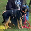 Tamina sucht eine liebevolle Familie