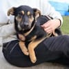 Tamina sucht eine liebevolle Familie