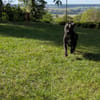PATY, une créole douce calme et câline