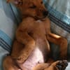 MILO le beau gosse