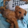 MILO le beau gosse