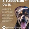 Owen