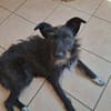 Ruby - lieb und freundlich