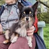 Zeus💕ruhig und ausgeglichen