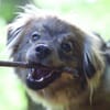 Sprotte - ist jung&dynamisch