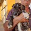 Nano sucht passende Familie