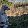 Geben Sie Aurelia eine Chance?