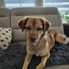 Anhängliche MAJA in 65556 Limburg♥