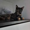 Daisy, mit mir kommt Freude ins Haus