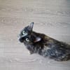 Daisy, mit mir kommt Freude ins Haus
