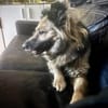 Tobi  43 cm (Pflegestelle)