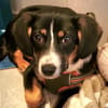 Brianna - geduldige Menschen gesucht