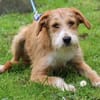 Taki sucht sein Traumzuhause