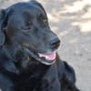 Zenon sucht neue Familie