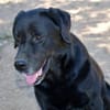 Zenon sucht neue Familie