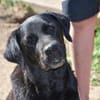 Margot sucht engen Familienanschluss