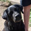 Margot sucht engen Familienanschluss