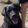 Margot sucht engen Familienanschluss