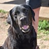 Margot sucht engen Familienanschluss