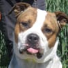 DEIMOS