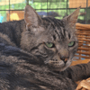 SOCRATE