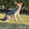 Kleine pfiffige Esther