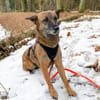 NISHA sucht ihre eigene aktive Familie