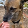 NISHA sucht ihre eigene aktive Familie