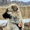 Flora - zuckersüß und lieb
